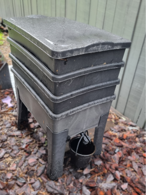 image4